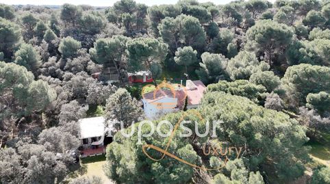 Photo 2 of Houses for sale in Carretera Villanueva, 8, Puente Duero, Valladolid Capital