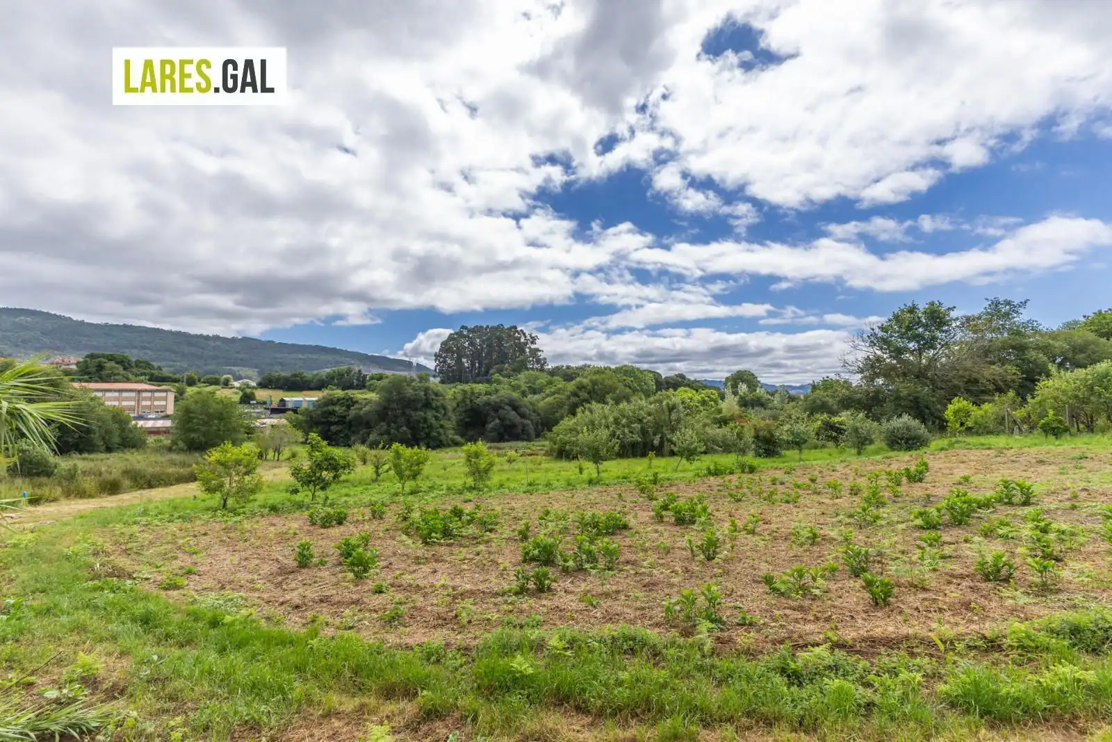 Terrain rustique à vendre à Lugar de Pozonegro, imagen 8