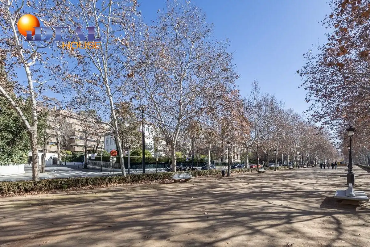 Flat for sale in San Matías - Realejo