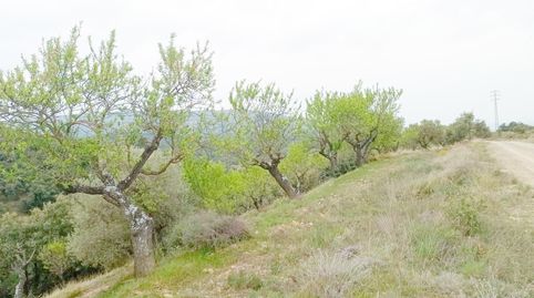 Foto 3 de Finca rústica en venda a La Puebla de Castro, Huesca