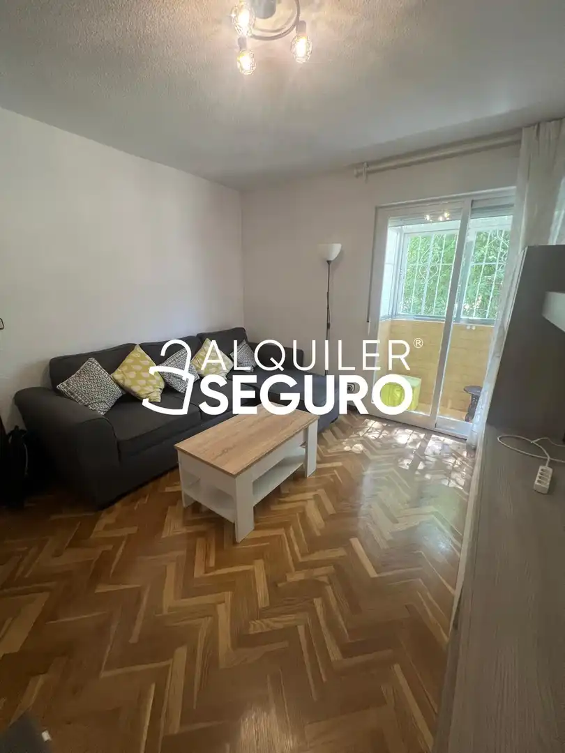 Living room of Flat for rent in Madrid  with Air Conditioner, Heating and Terrace