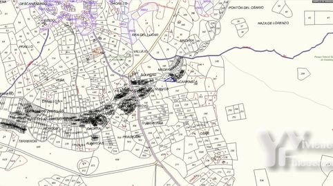 Campillo de Ranas (Guadalajara) lote de cinco fincas rústicas, buena oportunidad para invertir., imagen 5