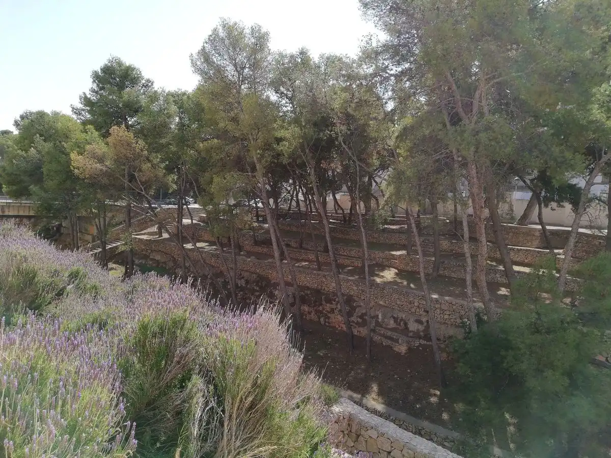 Garden of Residential for sale in La Ràpita