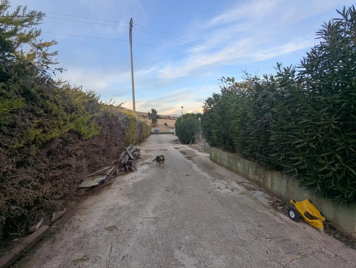 Nave industrial en venta en Aberin