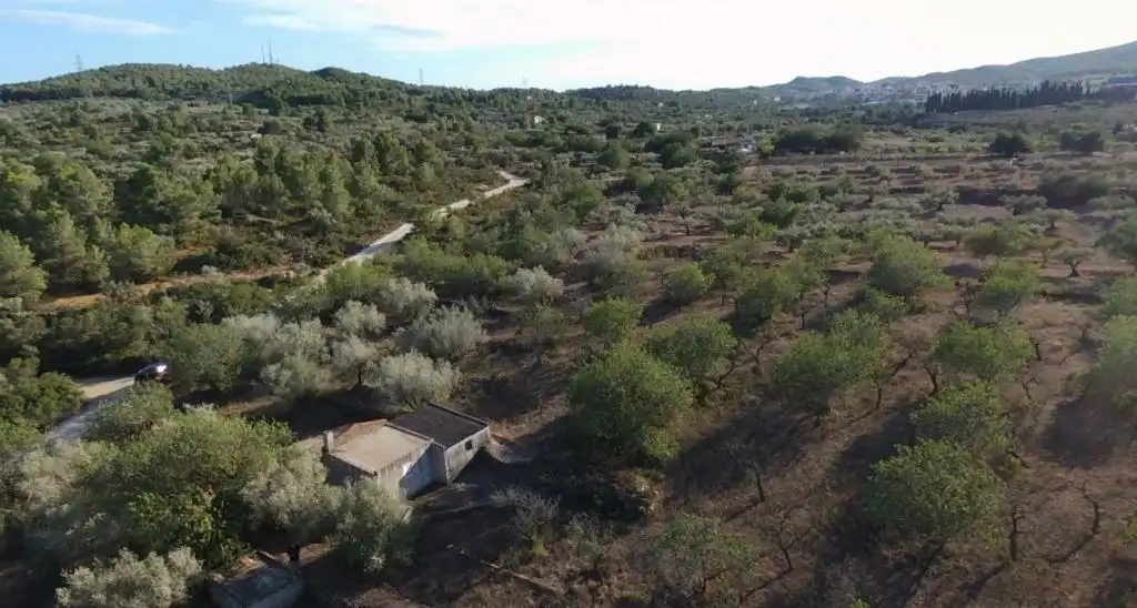 Finca rústica en venda en El Perelló
