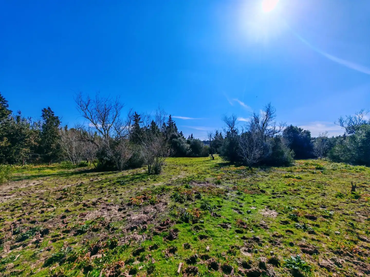 Casa o chalet en venta en Medina Sidonia con Jardín privado, Piscina y Amueblado