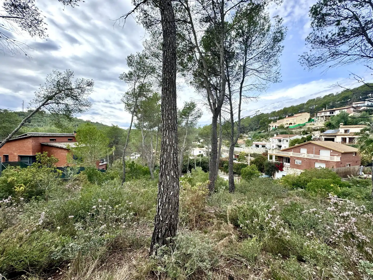 Grundstücke und Bauplätze zum Verkauf in Olivella, imagen 7