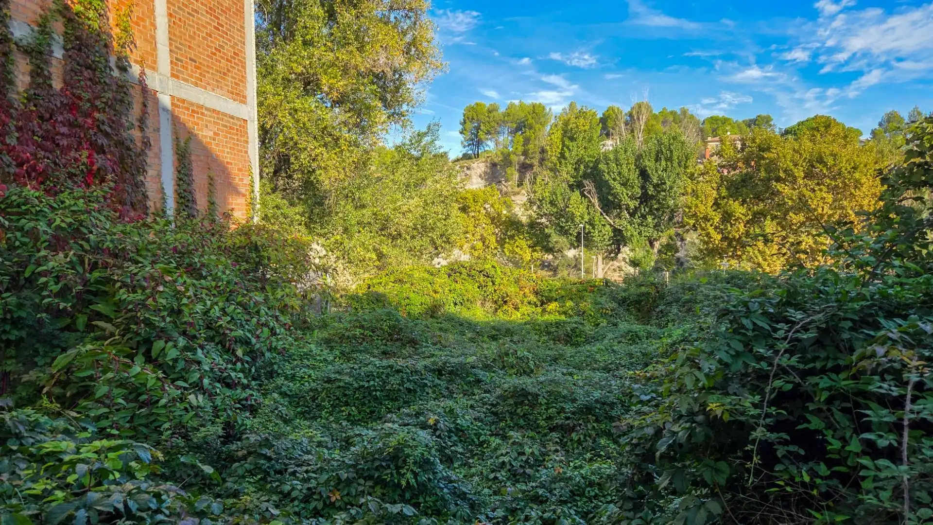 Residential land for sale in Carrer de la Font de Santa Margarida 17, imagen 5