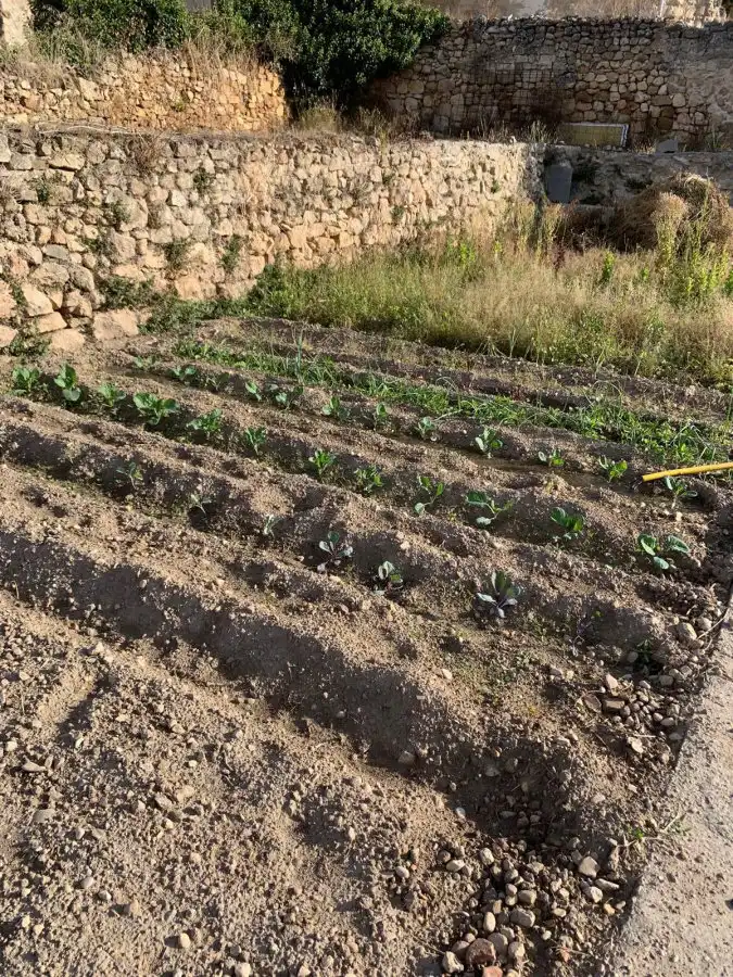Casa en venta en Labastida / Bastida, imagen 33