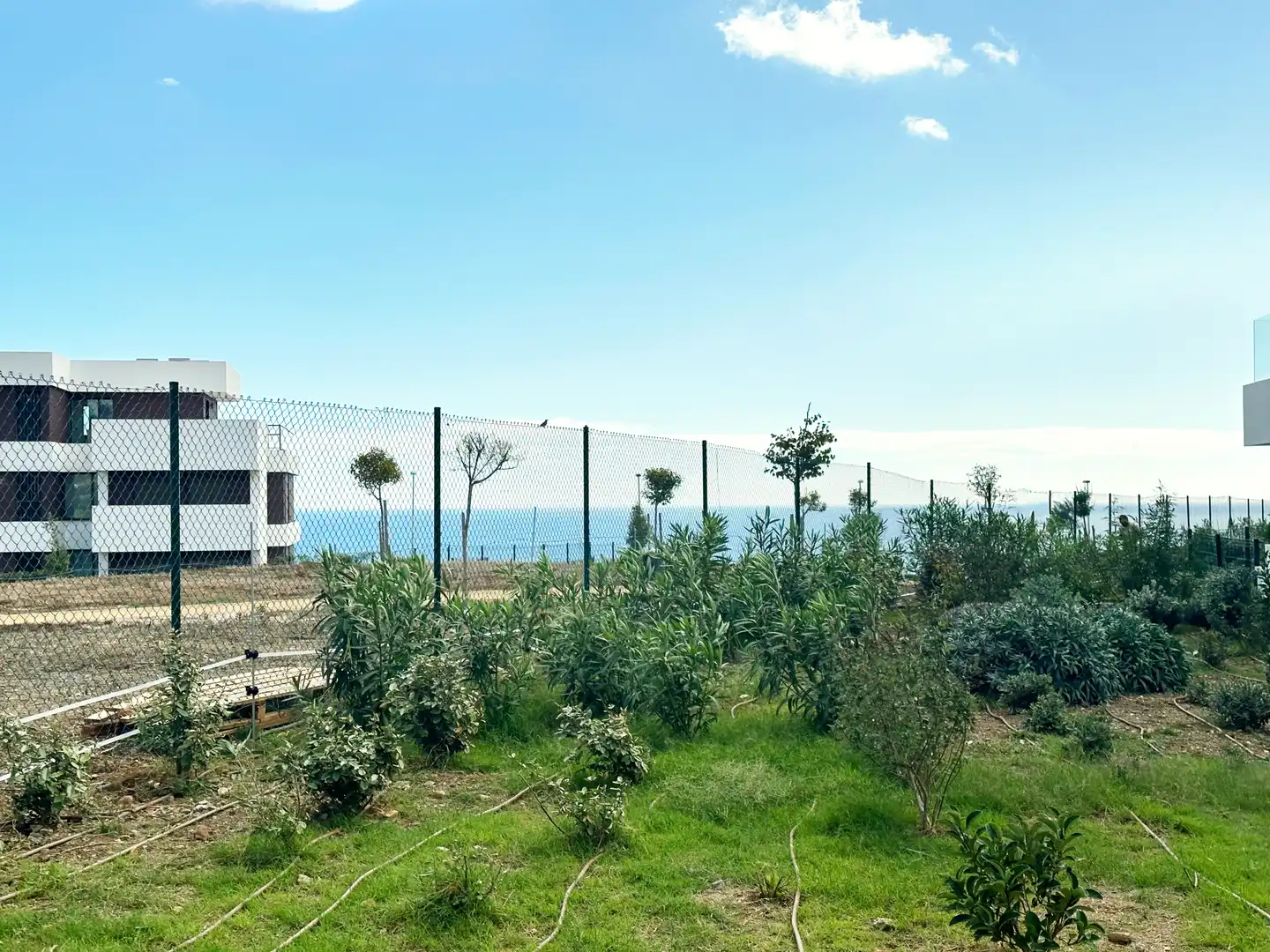 Habitatge amb piscina en venda a Bahía de Casares, imagen 9