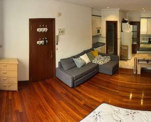 Living room of Study to share in Donostia - San Sebastián   with Air Conditioner and Terrace