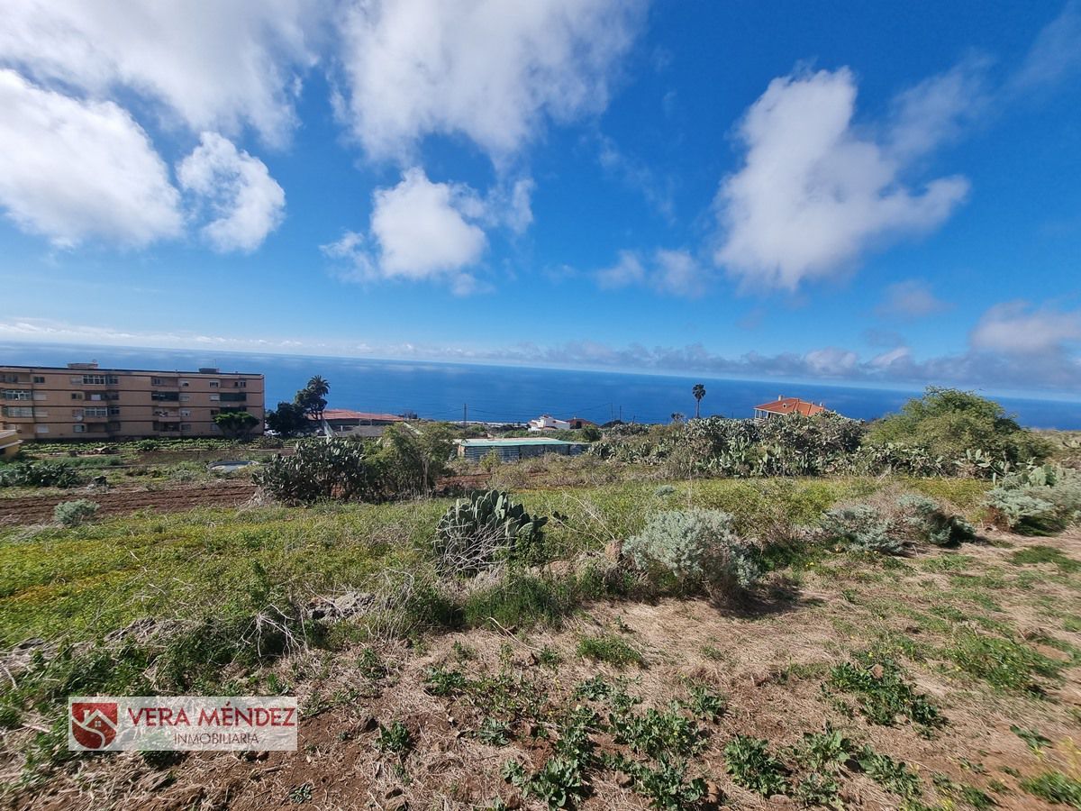 Finca rústica en venta en El Pris - Juan Fernández