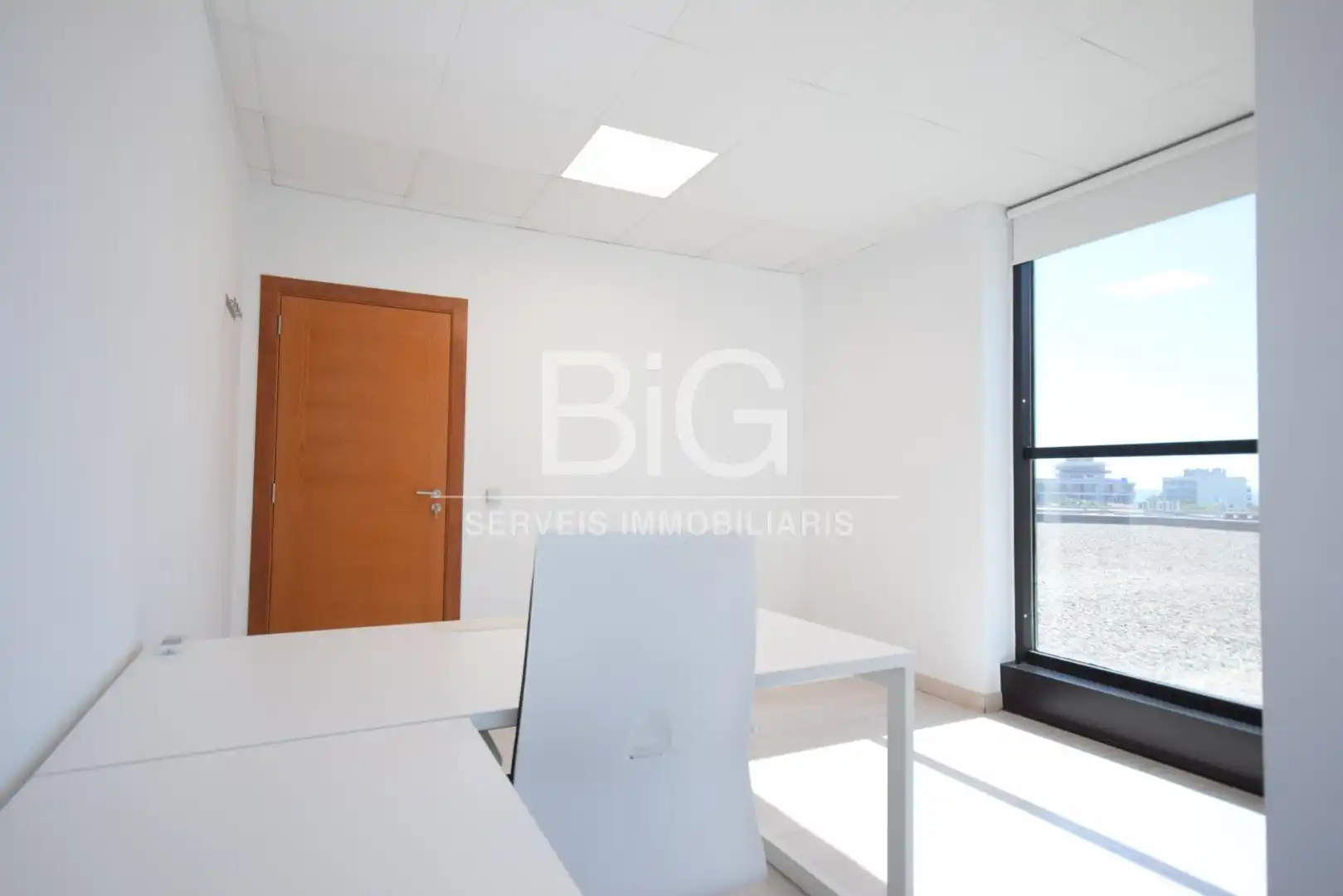 Office space with lift to rent in Pla d'en Boet, imagen 17