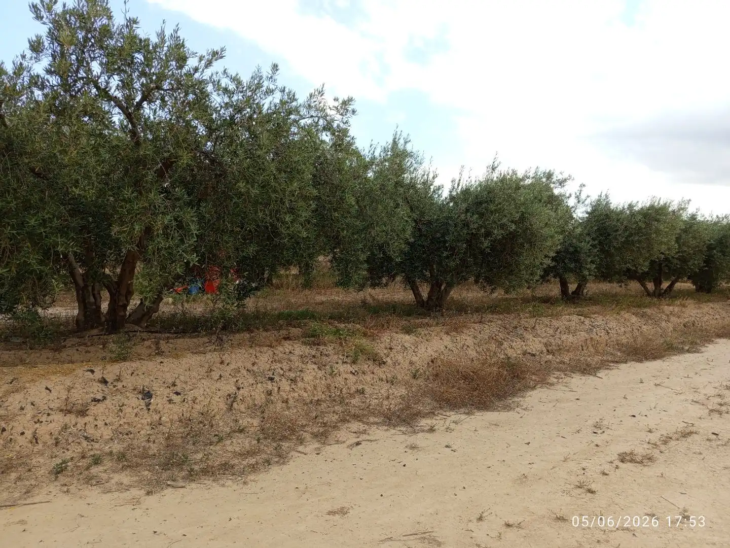 Terreno en venta en Lorca
