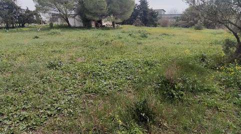 Foto 3 de Casa o chalet en venta en Pelagatos - Pago del Humo, Cádiz