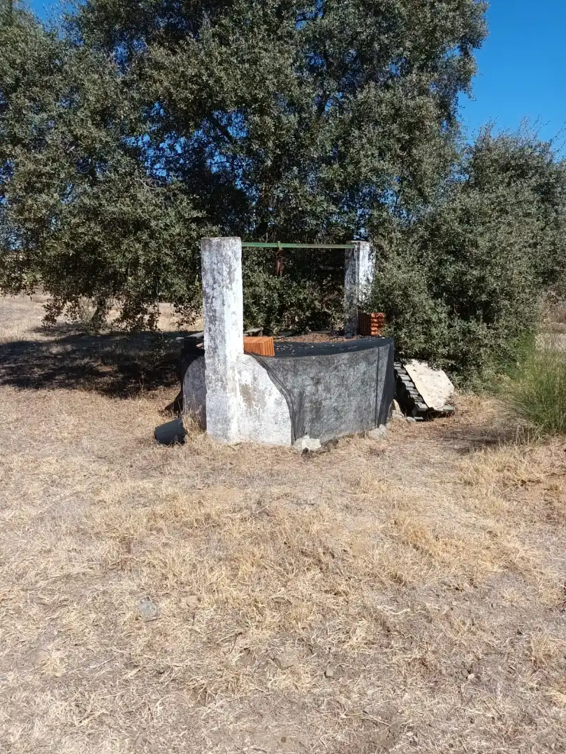Villa avec jardin à vendre à Don Álvaro, imagen 18