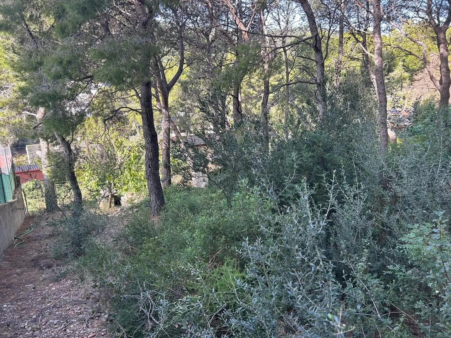 Lands and plots for sale in Segur de Calafell, imagen 14