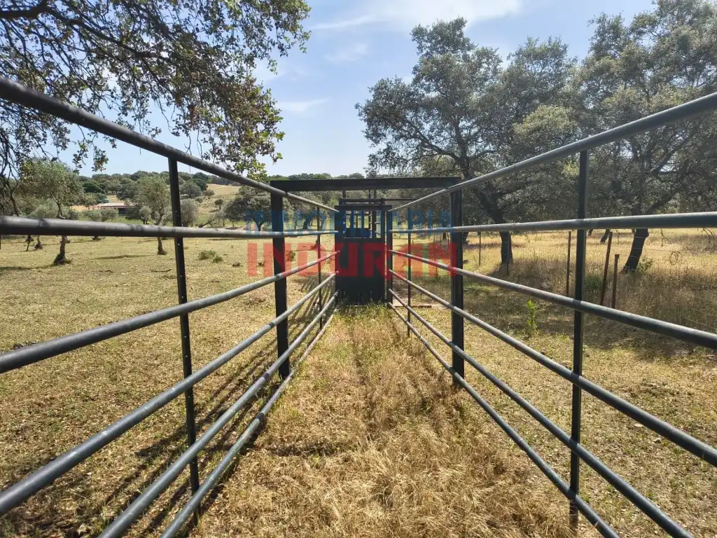 Vista exterior de Finca rústica en venda en Talaván