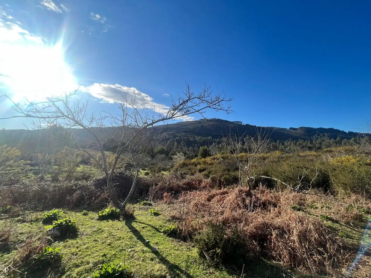 Terreno rustico in vendita a O Rosal, imagen 22