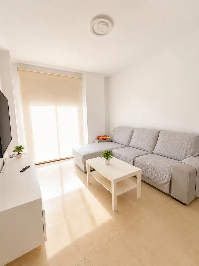 Living room of Attic for sale in Murcia  with Air Conditioner, Heating and Private garden
