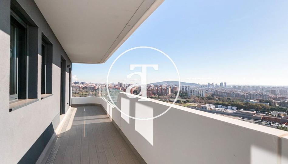 Photo 1 of Flat to rent in Jardins Dels Til·lers, 1, Sanfeliu, Barcelona