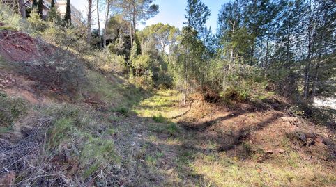 PARCELA URBANA EN SERRA  1.546 m2 CON POSIBILIDAD DE SEGREGACIÓN Y VISTAS ABIERTAS A LA SIERRA CALDERONA, immagine 5