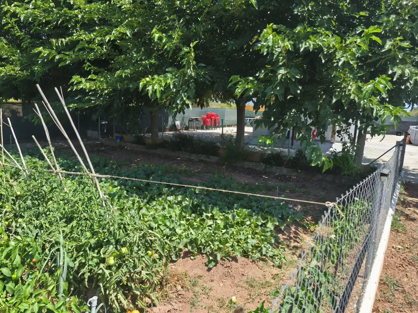 Jardín de Finca rústica en venta en Foios con Aire acondicionado, Calefacción y Jardín privado