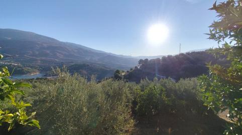 Foto 5 de Finca rústica en venda a Izbor, Sin N, El Pinar, Granada