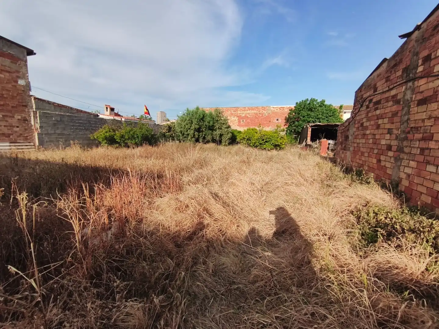 Land for sale in Valencia