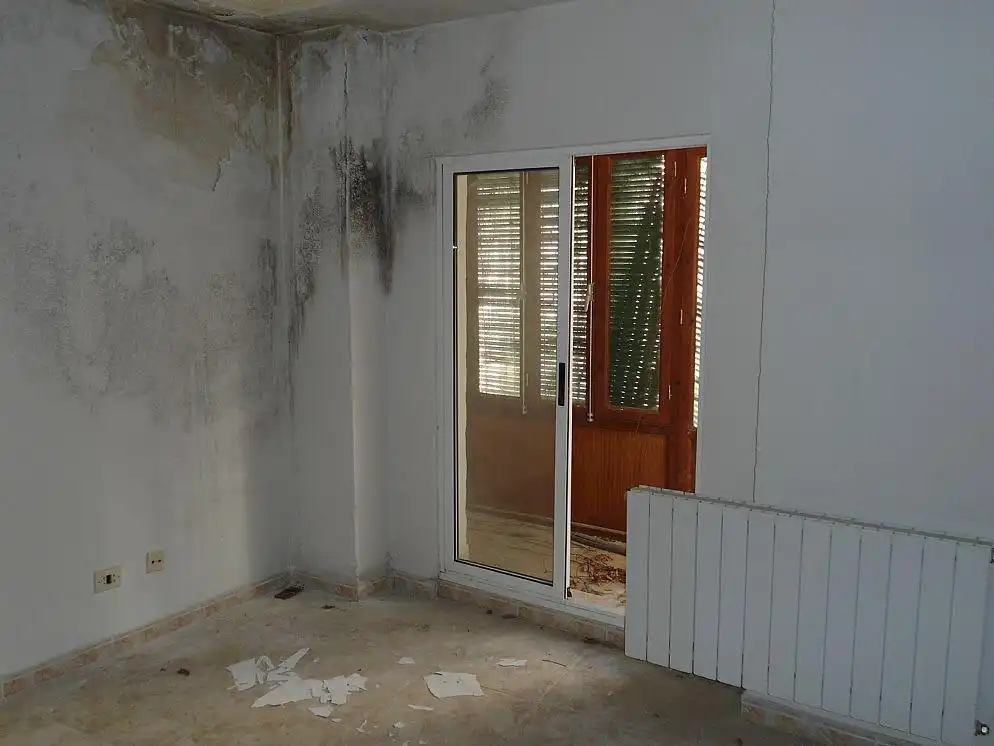 Houses for sale in Baza