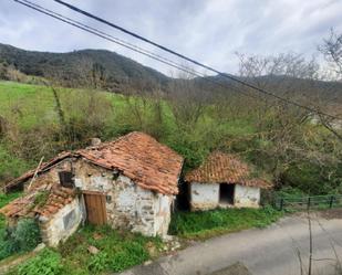 Exterior view of House or chalet for sale in Camaleño