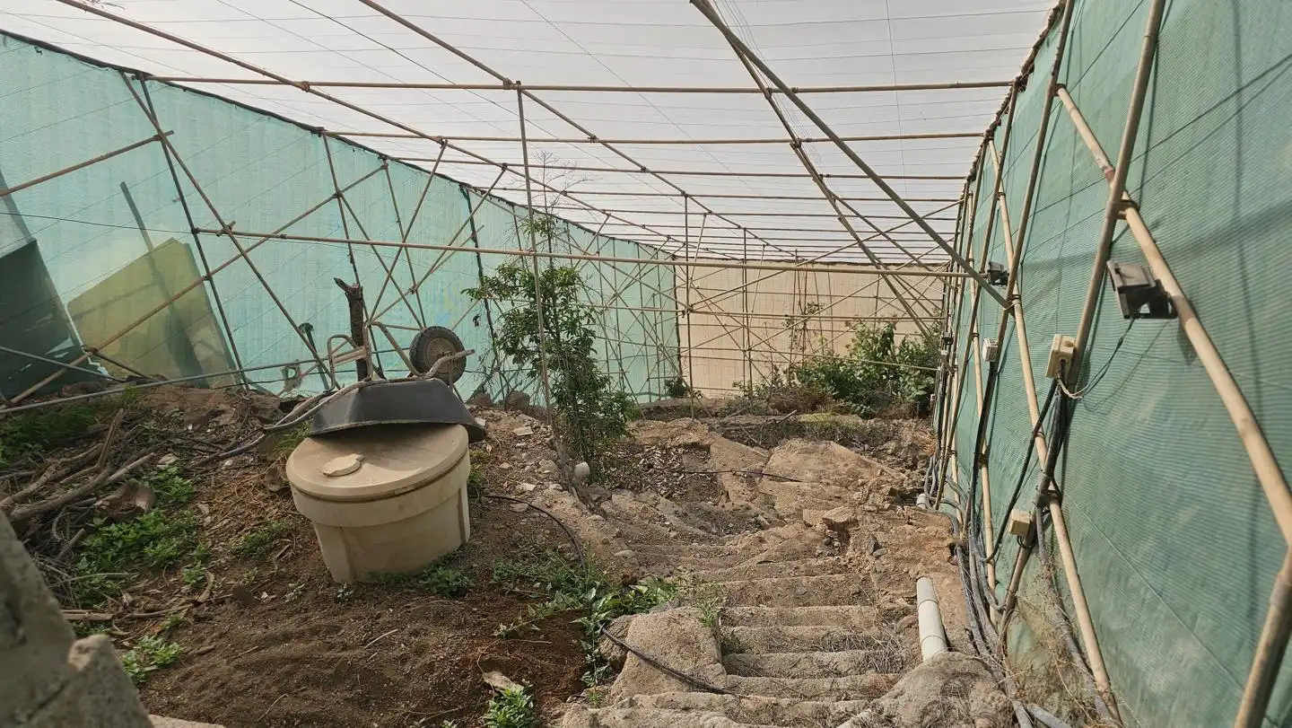 Vista exterior de Casa o xalet en venda en Santa Lucía de Tirajana amb Jardí privat, Terrassa i Piscina