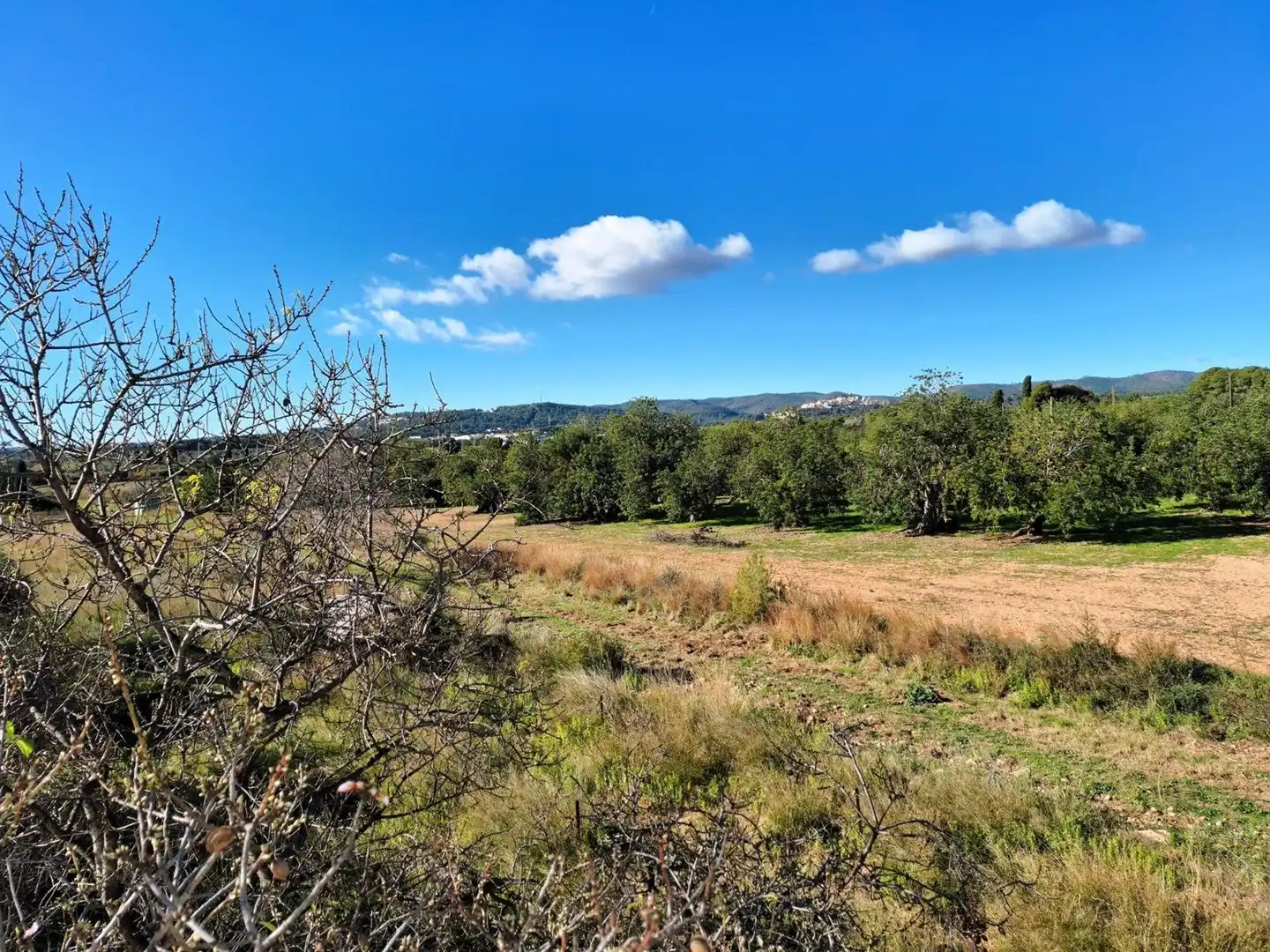 Villa à vendre à Polígono 5 96, imagen 40