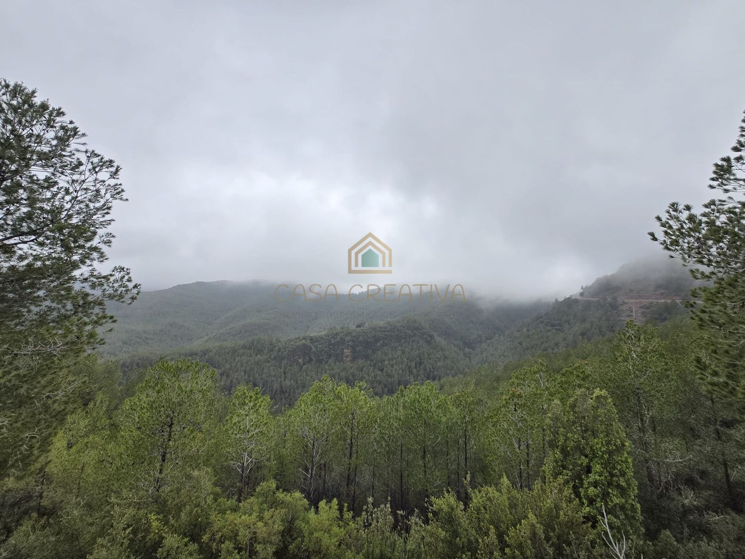 House or chalet for sale in Torralba del Pinar