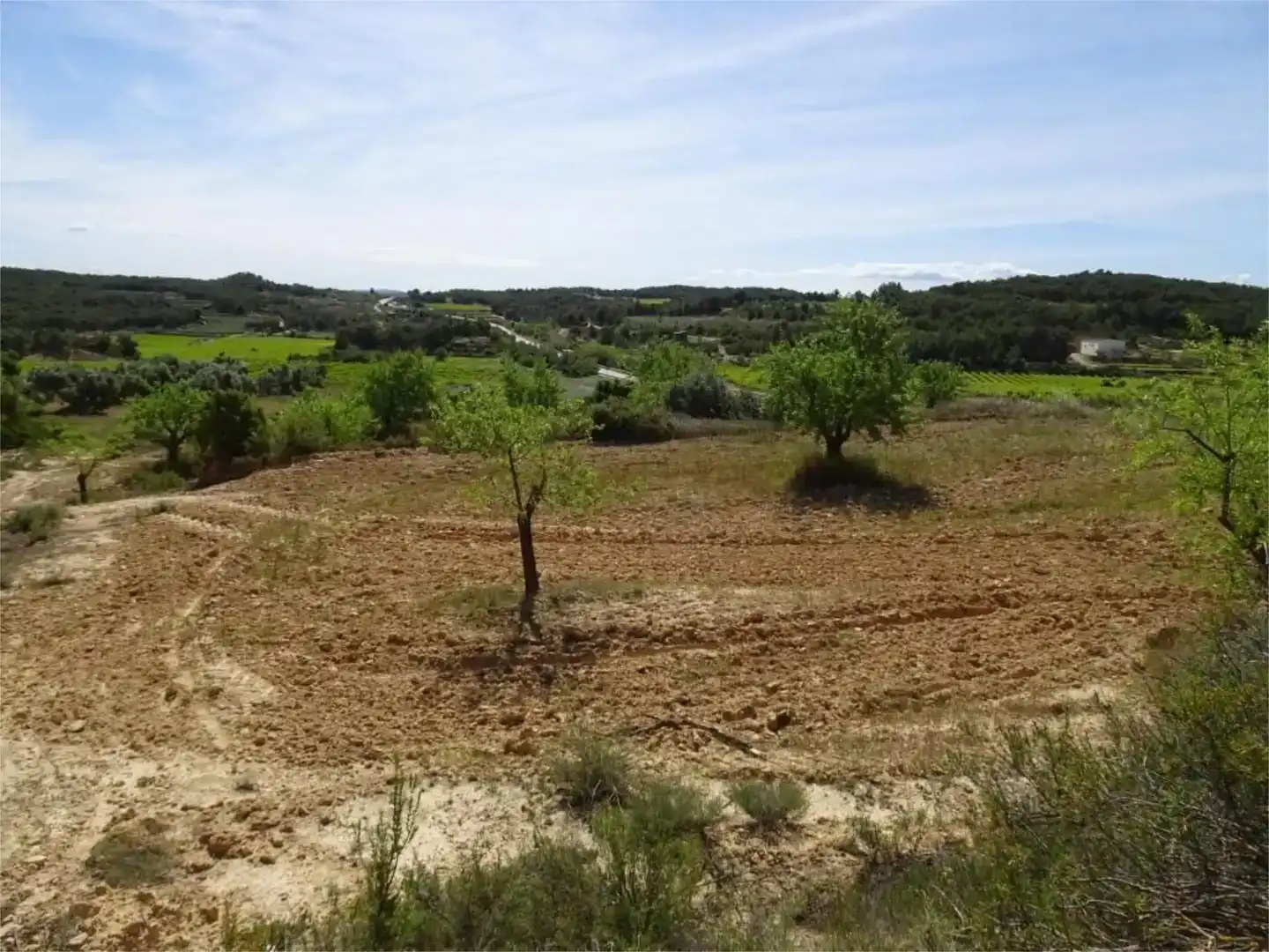 Land for sale in Batea