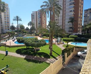 Piscina de Apartament en venda en Benidorm amb Aire condicionat, Moblat i Piscina comunitària
