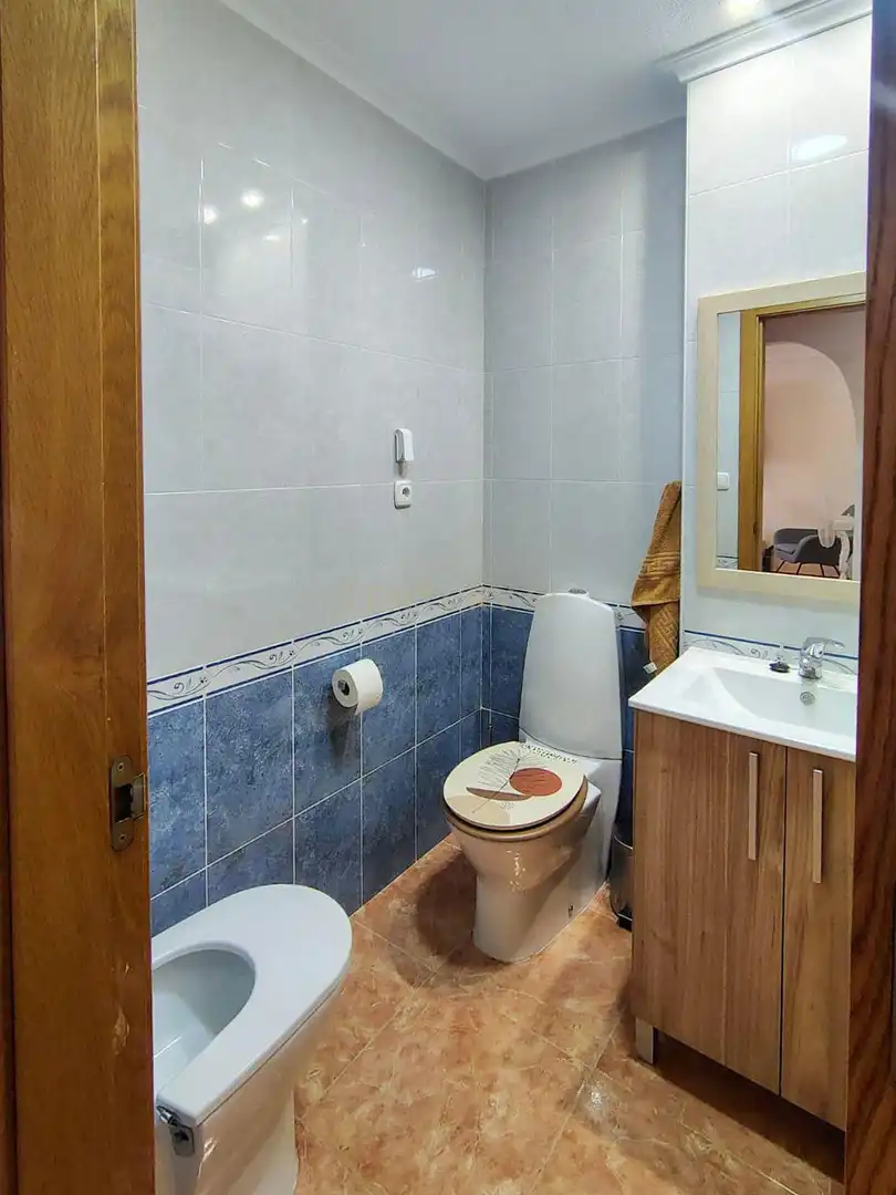 Bathroom of Apartments for rent in Elche / Elx  with Air Conditioner, Oven and Washing machine