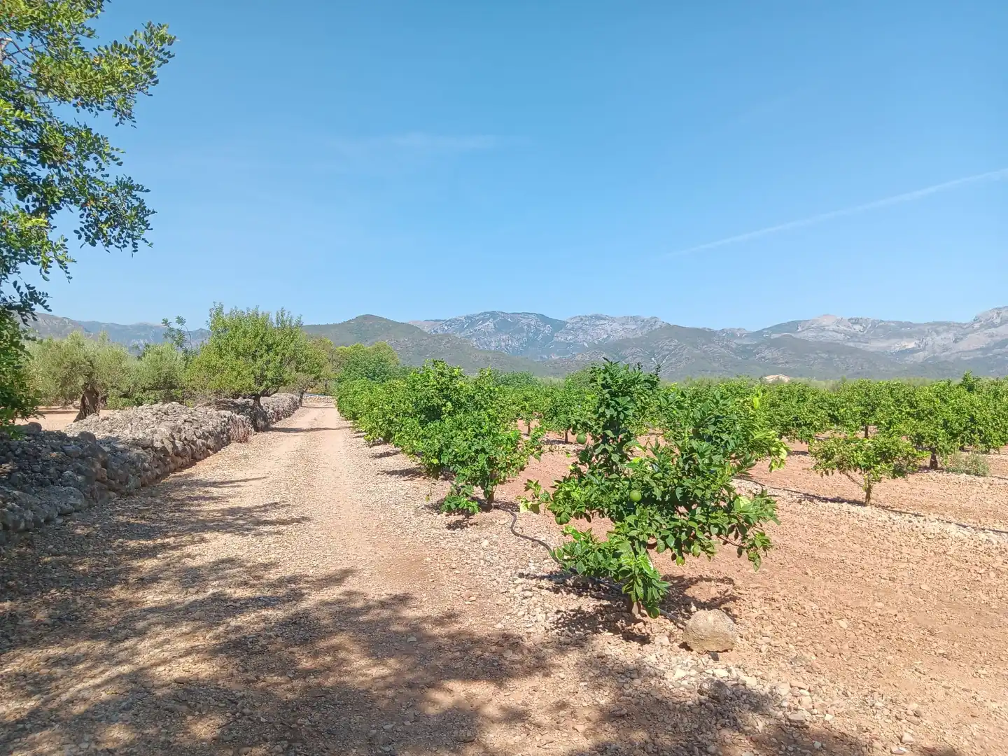 Lands and plots for sale in Roquetes, imagen 35