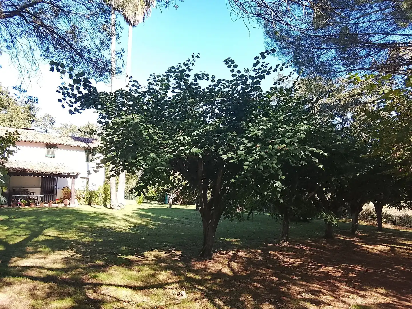 Haus mit Garten zum Verkauf in Madrigal de la Vera, imagen 128