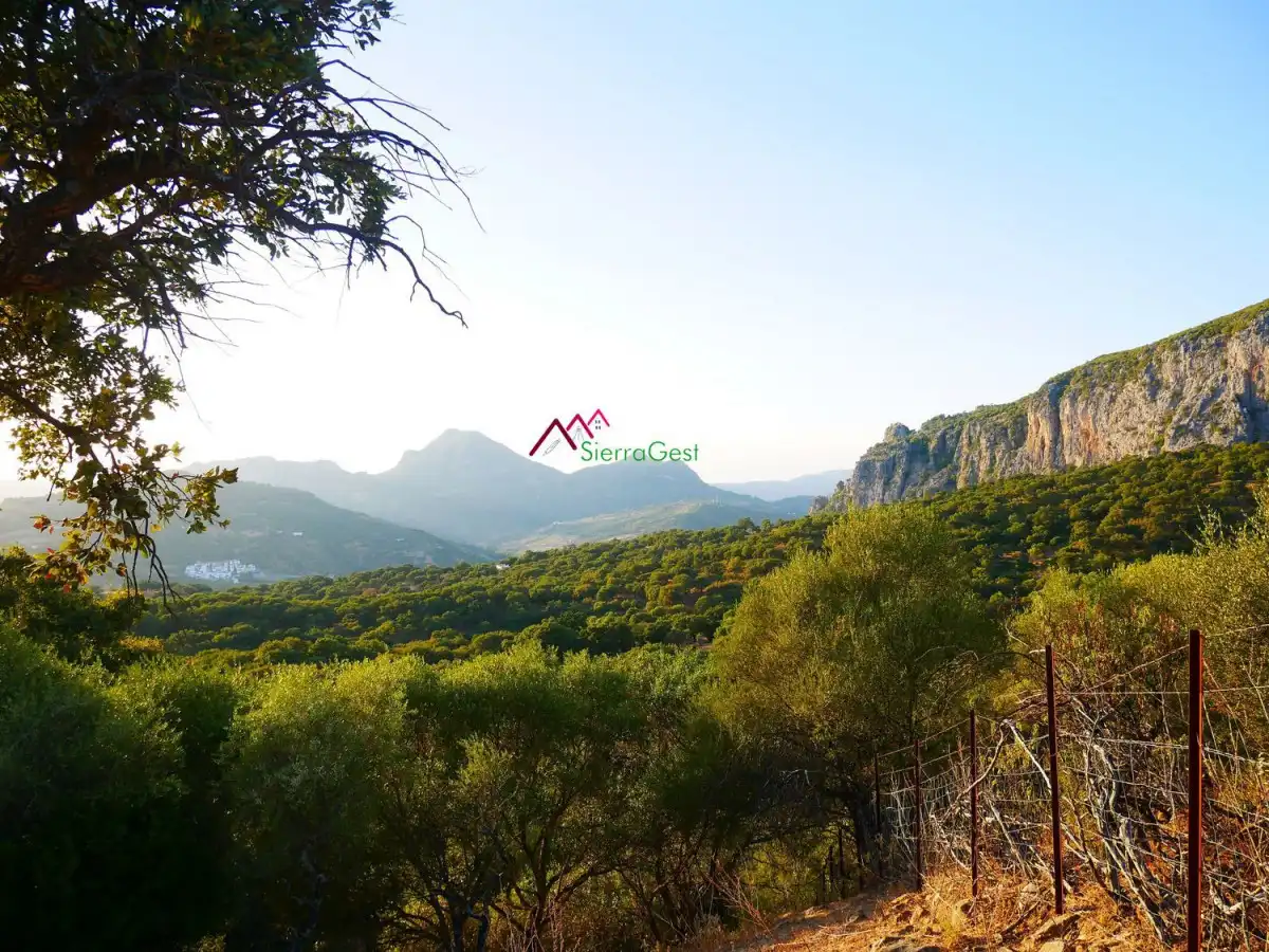 Terreny residencial en venda a Ubrique