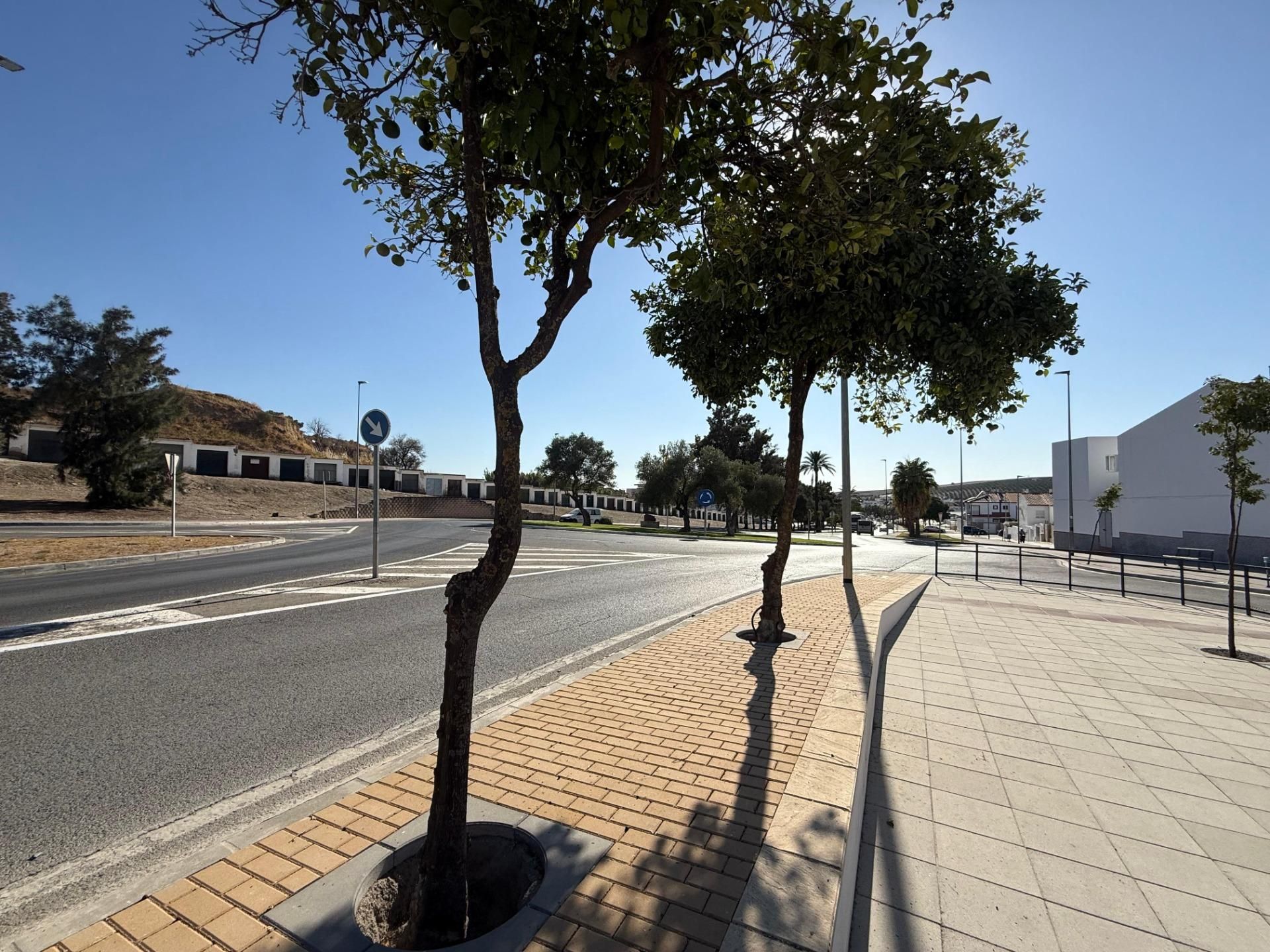 Exterior view of Flat for sale in Lebrija  with Terrace