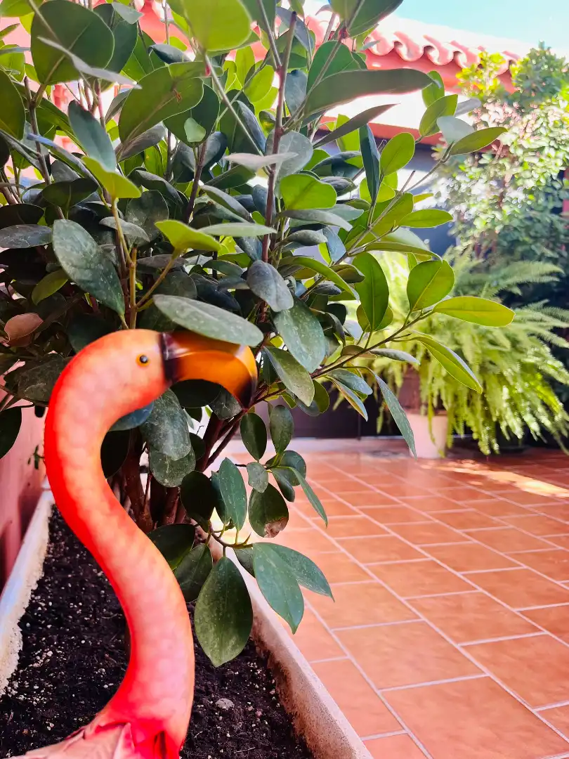 Jardín de Casa o chalet en venta en Fuengirola con Aire acondicionado, Jardín privado y Terraza