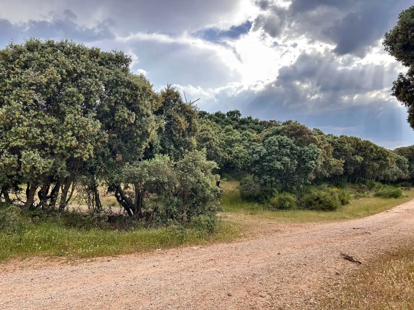 Finca rústica en venta en Masegoso con Aire acondicionado y Calefacción
