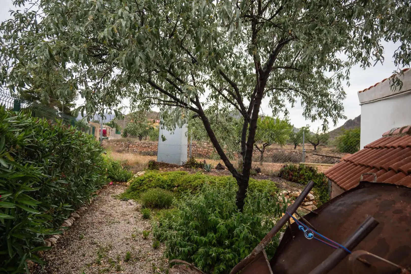 Jardín de Casa o chalet en venta en Orihuela con Jardín privado, Terraza y Trastero