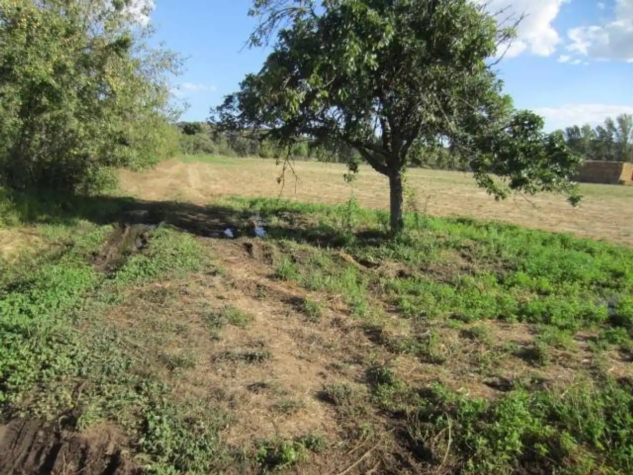 Terreno residencial en venta en Poligono 20, imagen 5