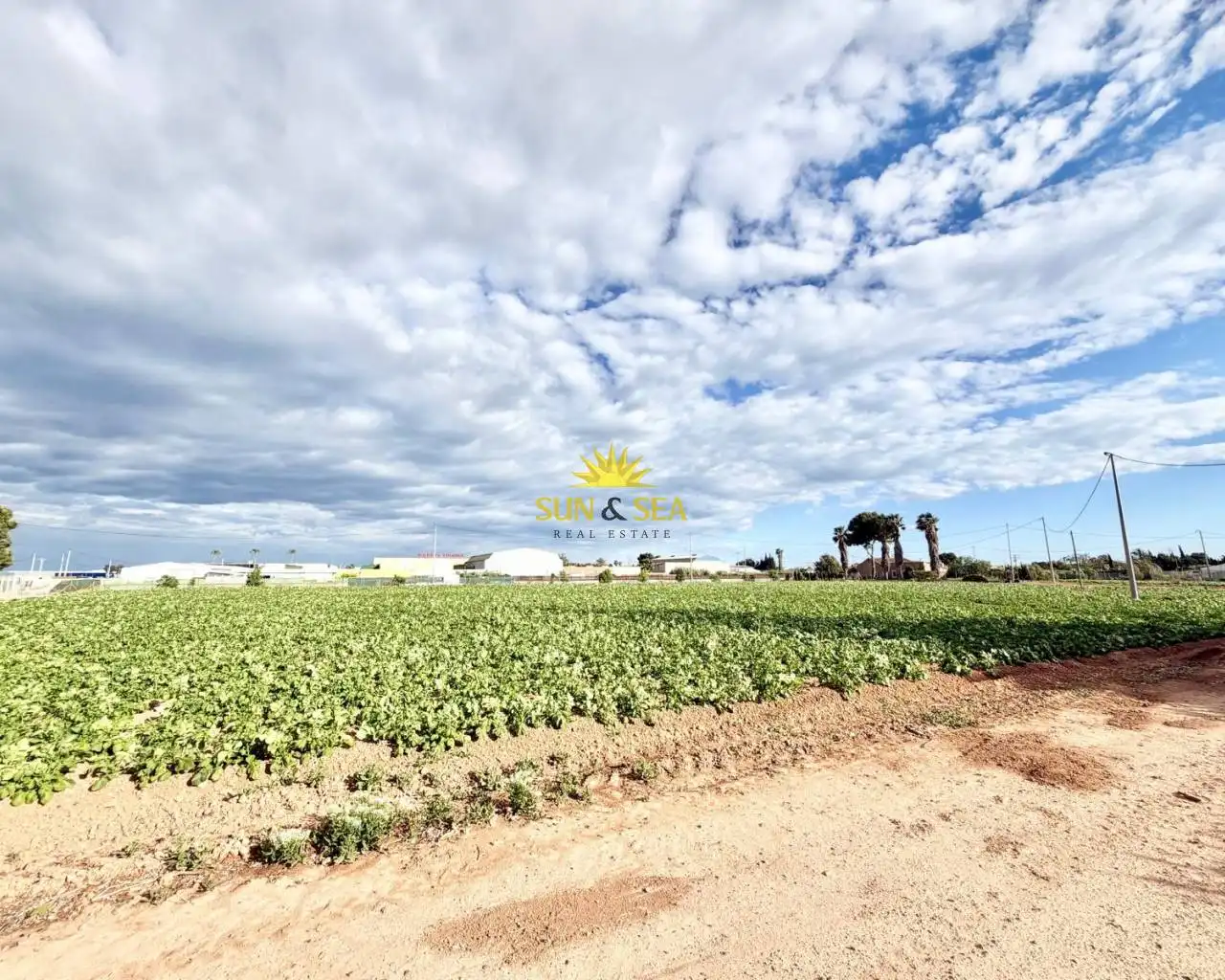 Casa con piscina en venta en San Pedro del Pinatar, imagen 51