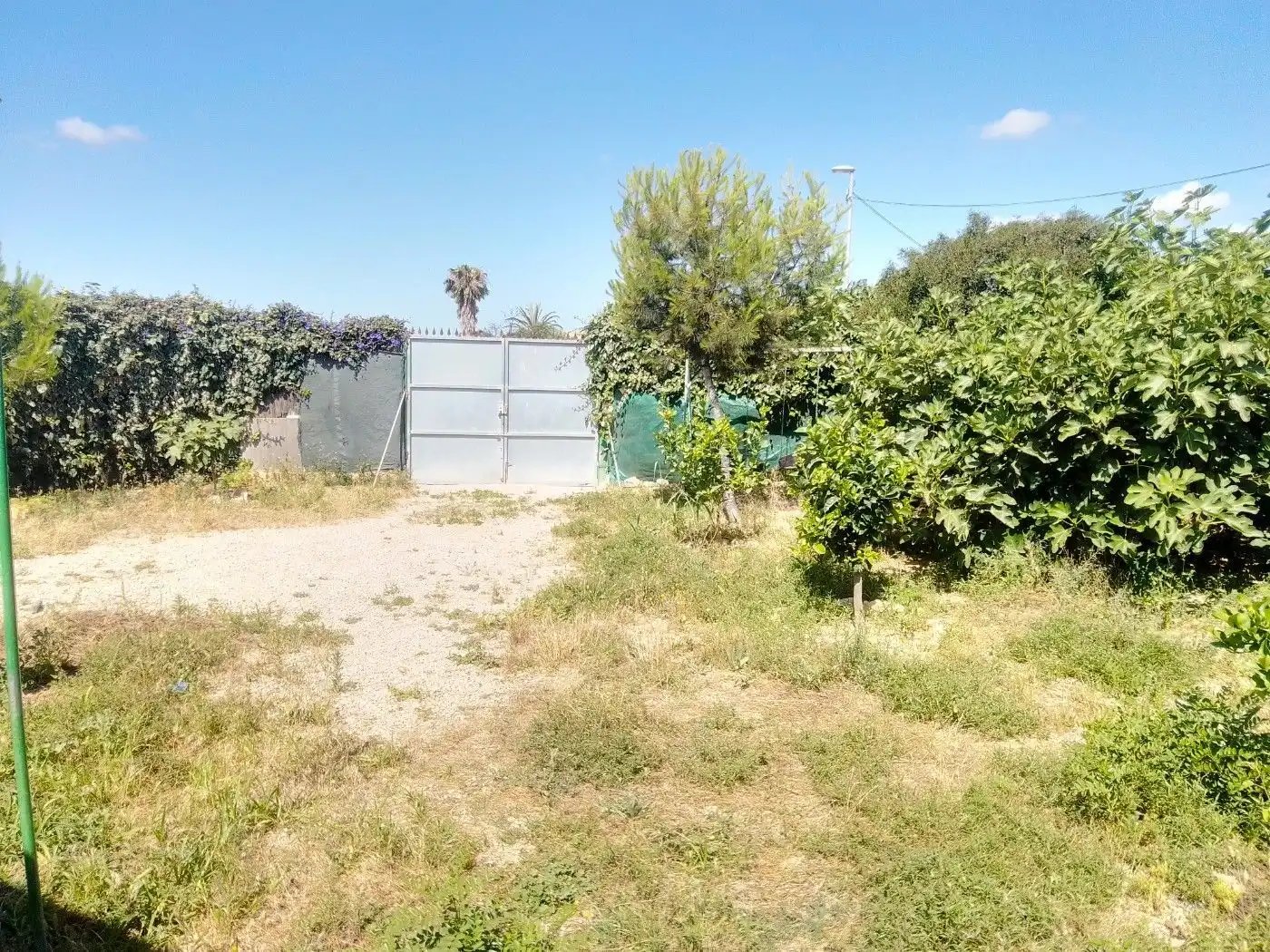 Casa o xalet en venda en Torre-Pacheco amb Terrassa, Traster i Piscina