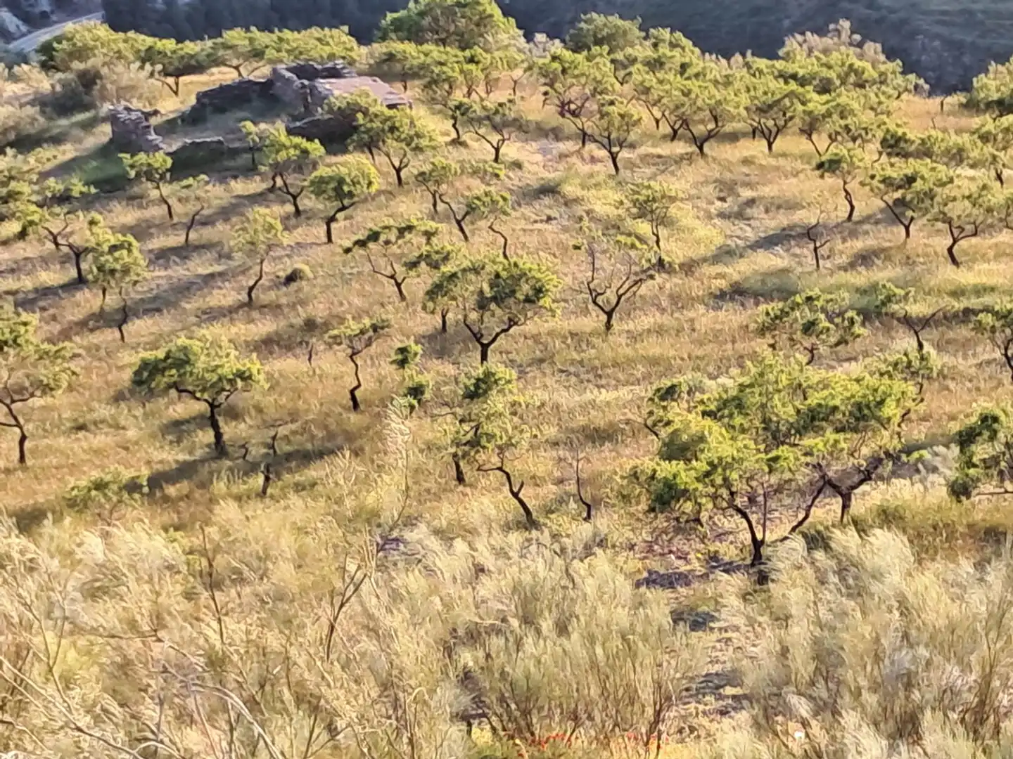 Terreno en venta en Bayarque