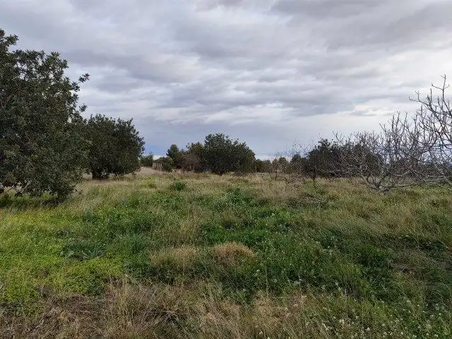 Finca rústica en venta en Cheste