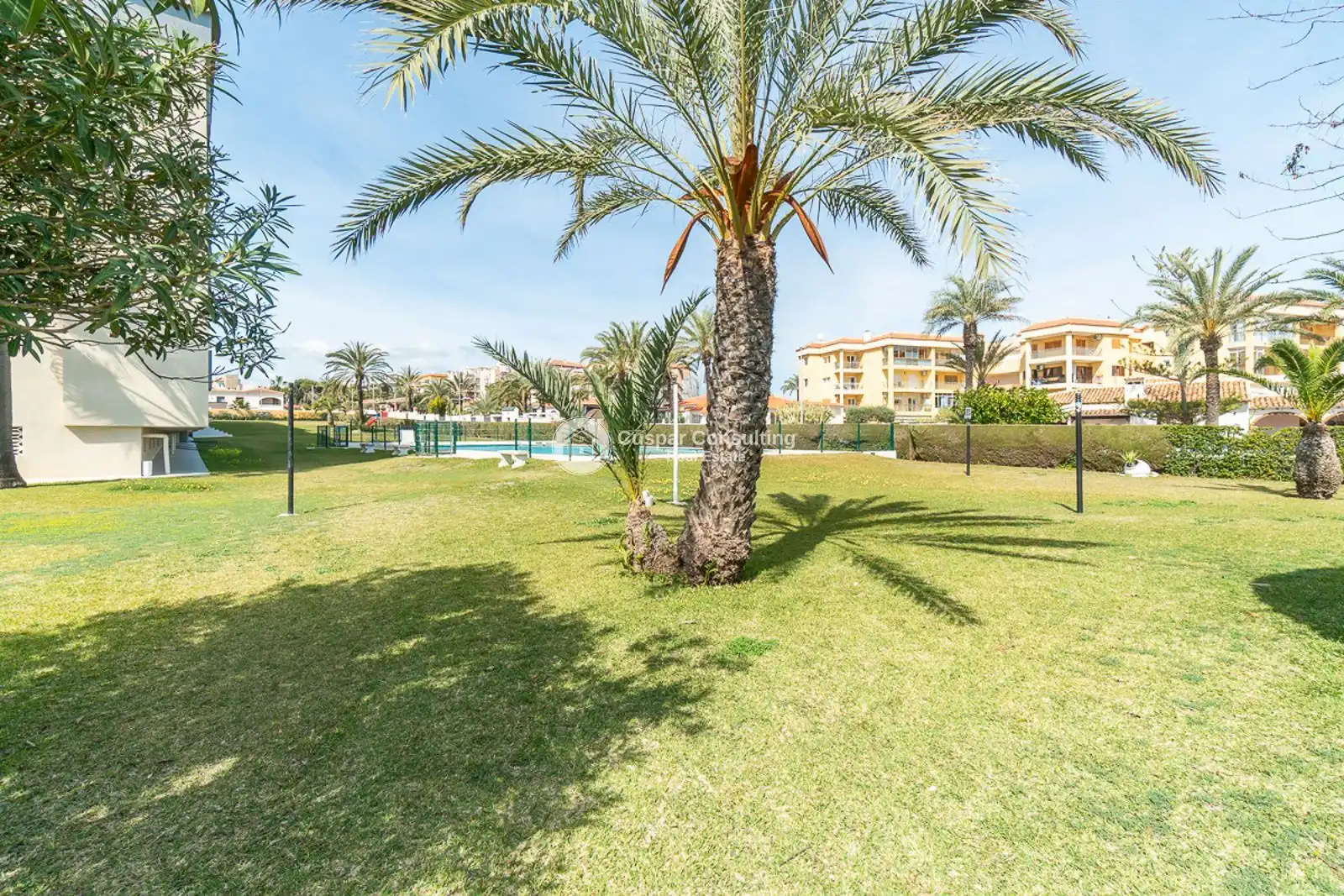 Swimming pool of Apartments for sale in Torrevieja  with Terrace, Storage room and Swimming Pool